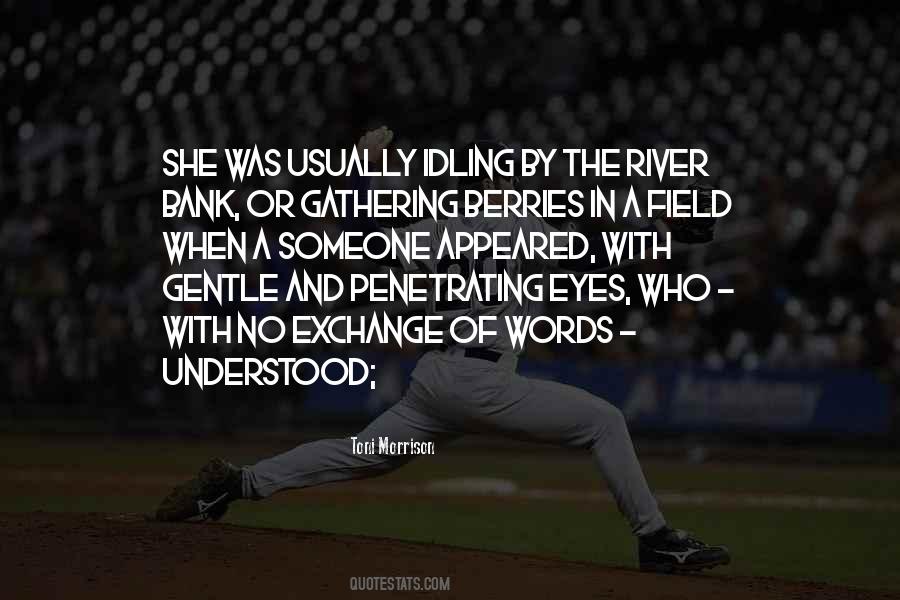 Gentle Eyes Quotes #17233