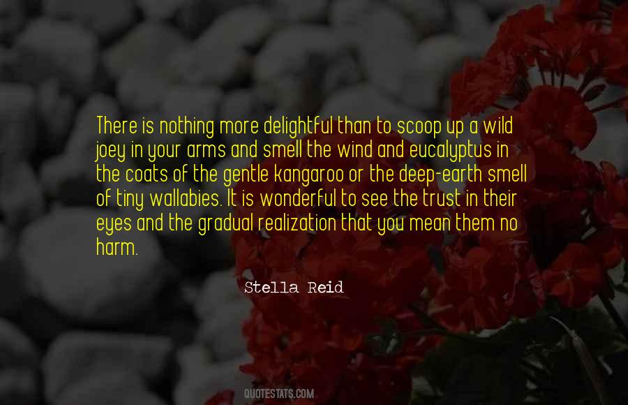 Gentle Eyes Quotes #872256