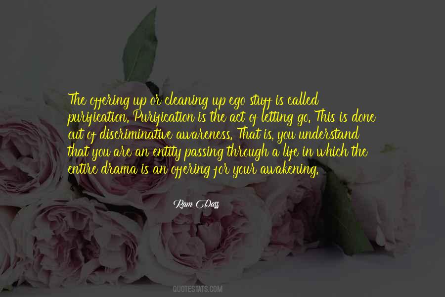 Quotes About Life Go Through #10087