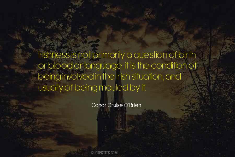 Best Being Irish Quotes #973921