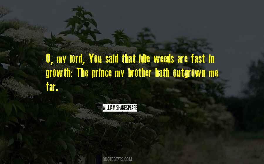O Brother Quotes #119368