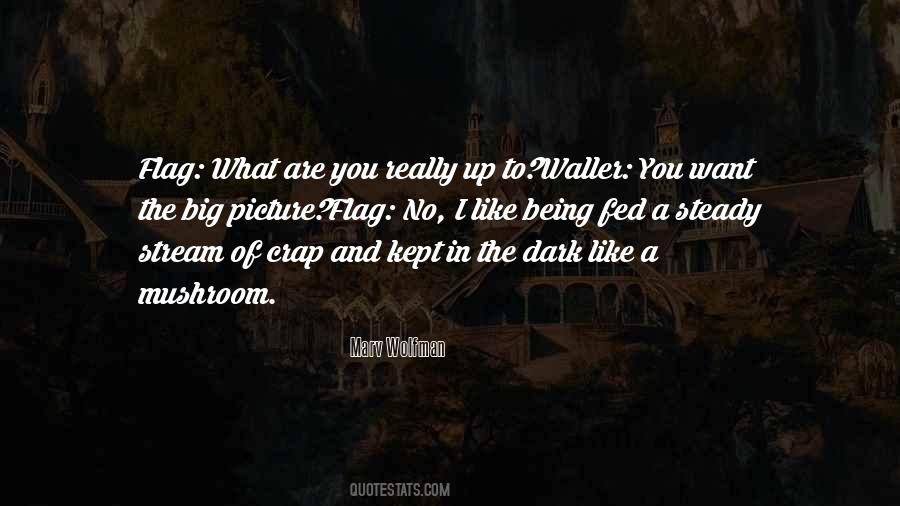 Suicide Squad 2 Quotes #487489