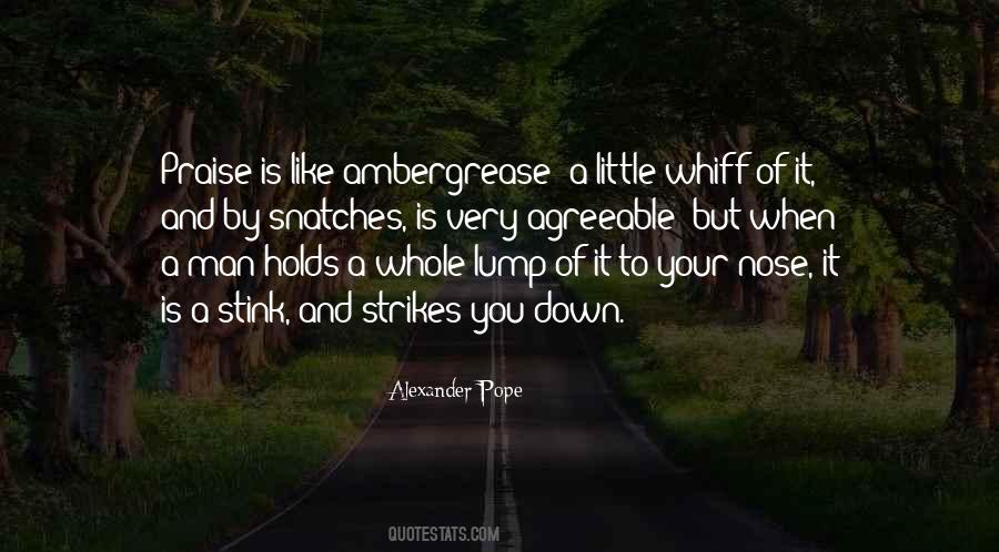 Nothing Holds Me Down Quotes #786535