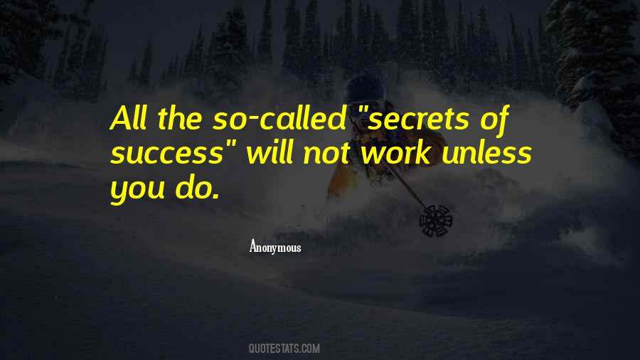 Success Will Not Quotes #717426