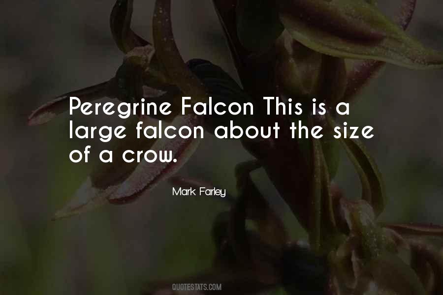 The Falcon Quotes #630382