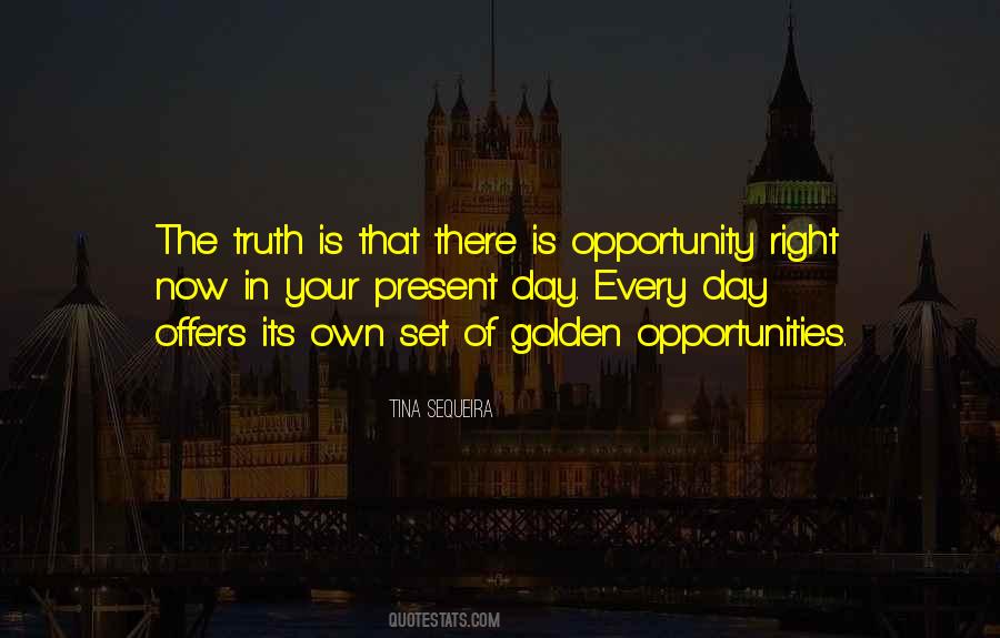 Your Opportunity Quotes #221101