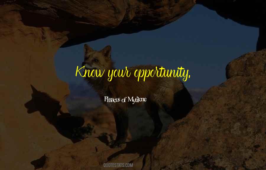 Your Opportunity Quotes #745469