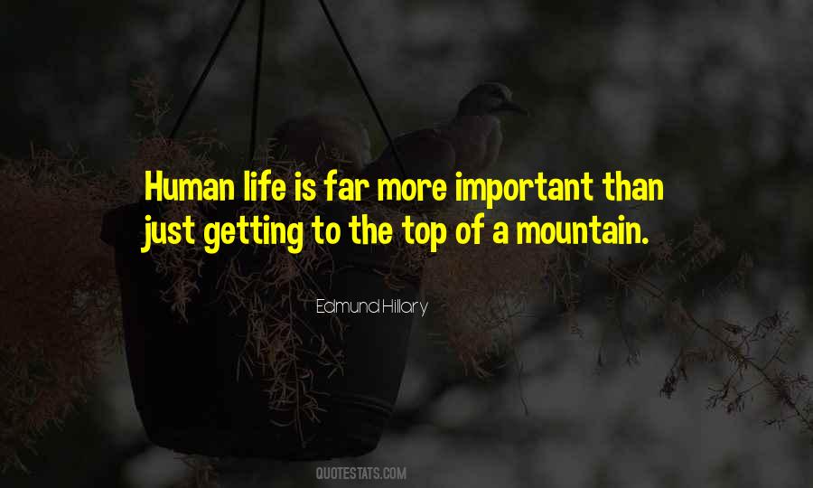Quotes About Getting To The Top Of A Mountain #509656