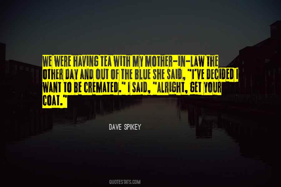 Quotes About The Mother In Law #257409