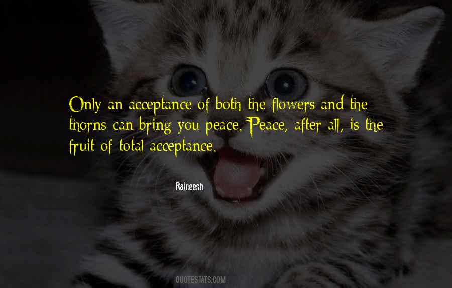 Attitude Peace Quotes #1743349