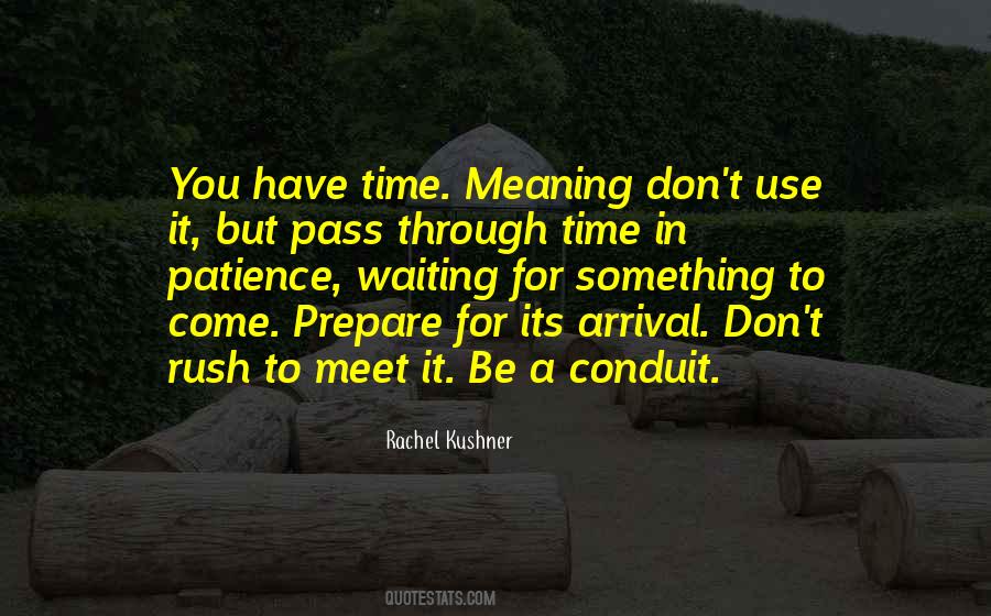 Don Let Time Pass You By Quotes #237991