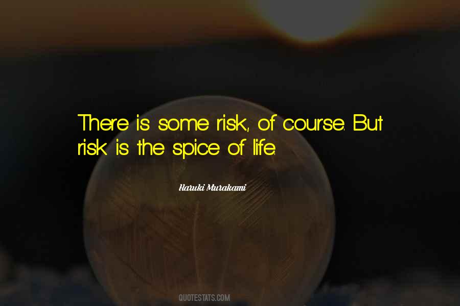 Life Risk Quotes #553374