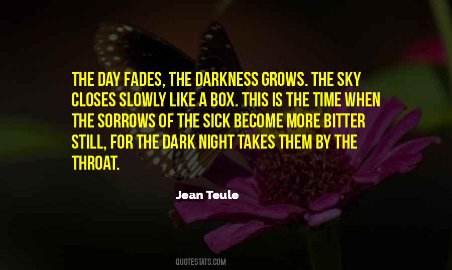 The Dark Night Quotes #836181