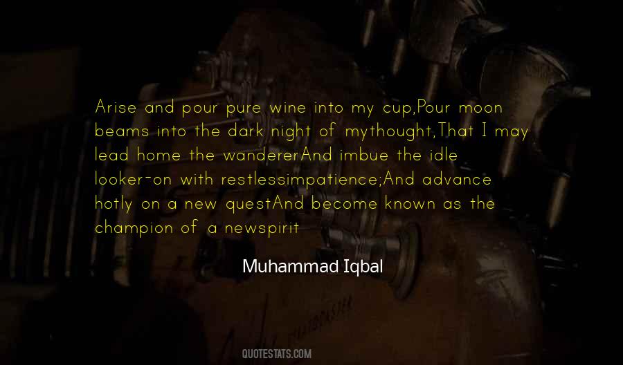 The Dark Night Quotes #88973