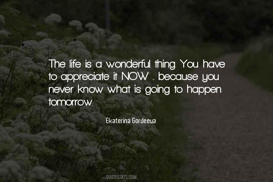 You Never Know What Will Happen Tomorrow Quotes #537883