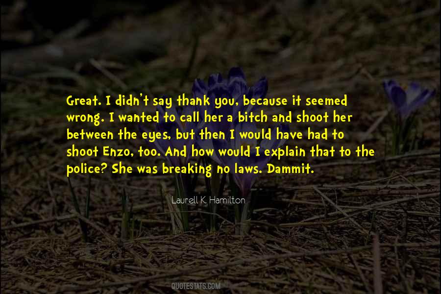 I Wish I Could Explain Your Eyes Quotes #1192169