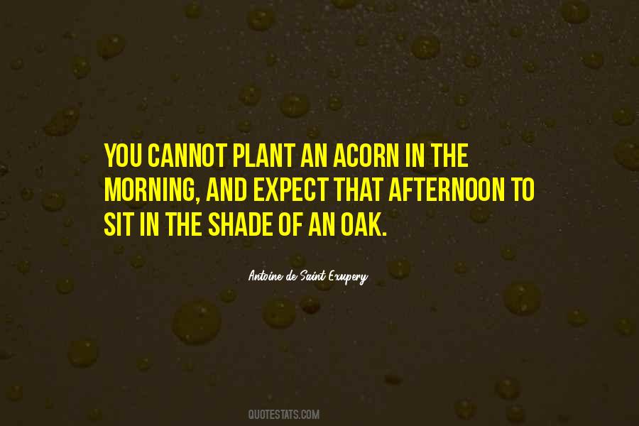Not Expect Too Much Quotes #5194