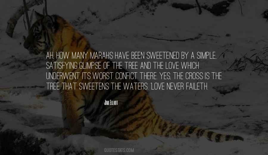 Most Difficult Cleaning Quotes #1519056