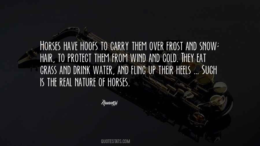 When You Carry Your Own Water Quotes #930754