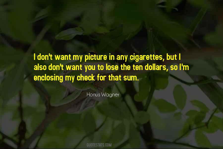 Don Want To Lose You Quotes #118983