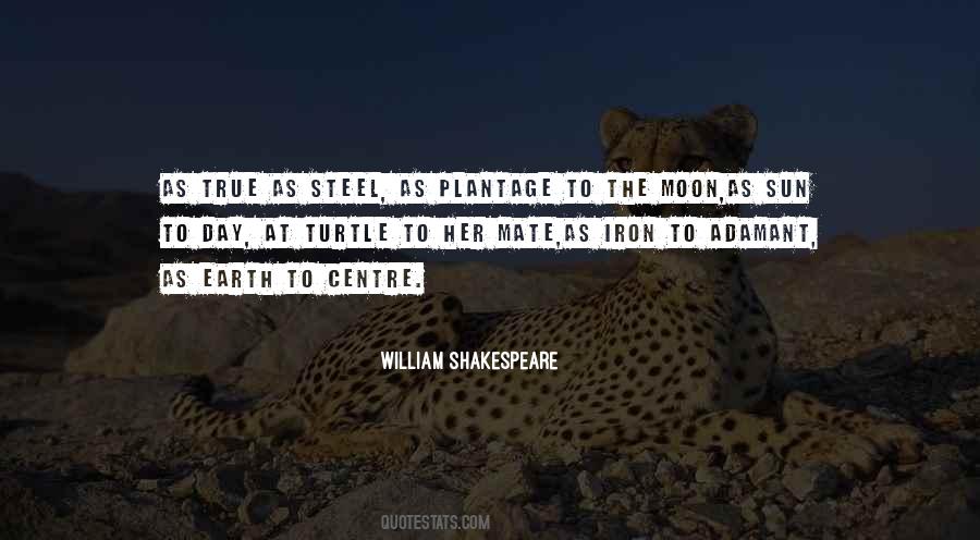 Shakespeare Sun And Moon Quotes #573522