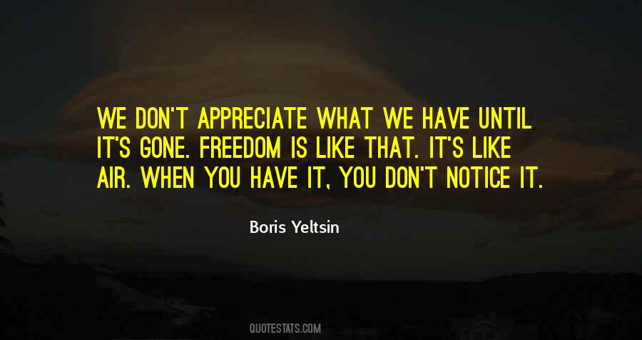 Don't Appreciate Until It's Gone Quotes #72695