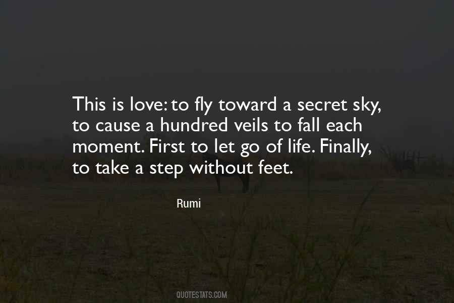 Fly Toward A Secret Sky Quotes #1432341