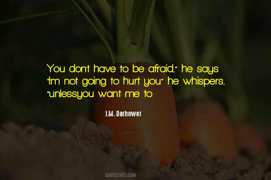 Don't Be Afraid To Get Hurt Quotes #468623