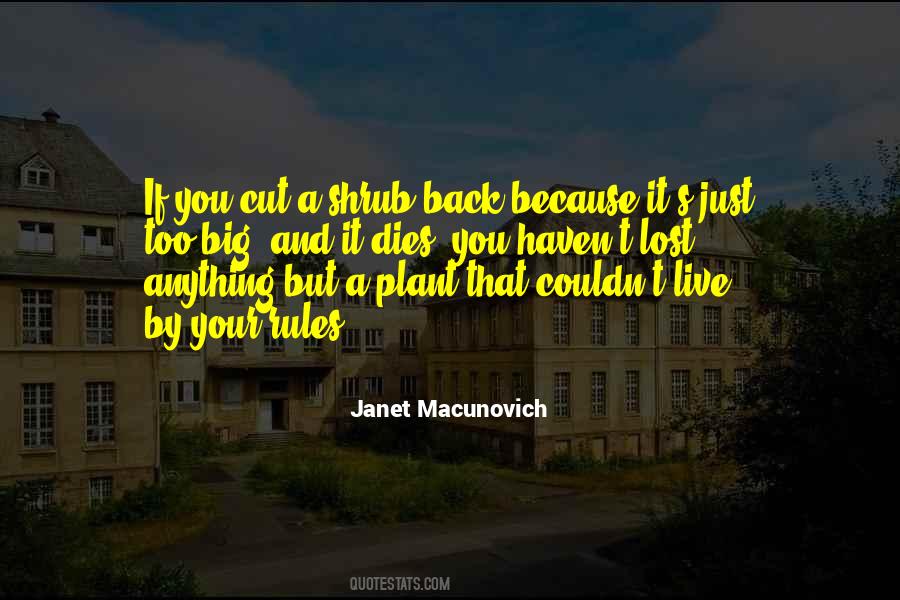 If Your Lost Quotes #1621514