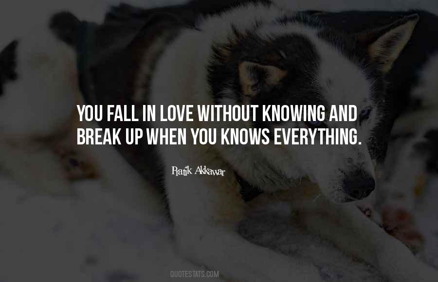 When You Break Up Quotes #1450687