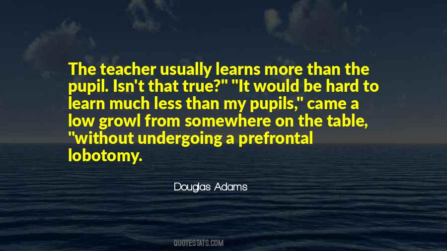 A True Teacher Quotes #94456