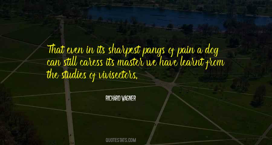 Dog Pain Quotes #1506093