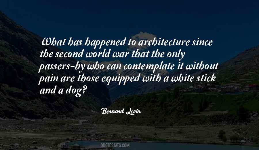 Dog Pain Quotes #1659682