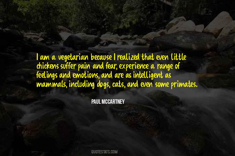 Dog Pain Quotes #454789