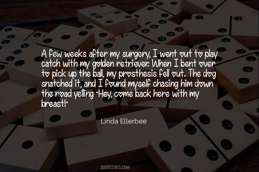 Pick Myself Up Quotes #431620