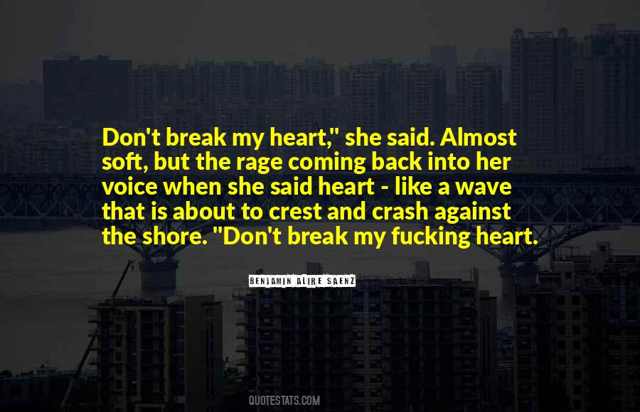 Don't Break My Heart Quotes #1684959
