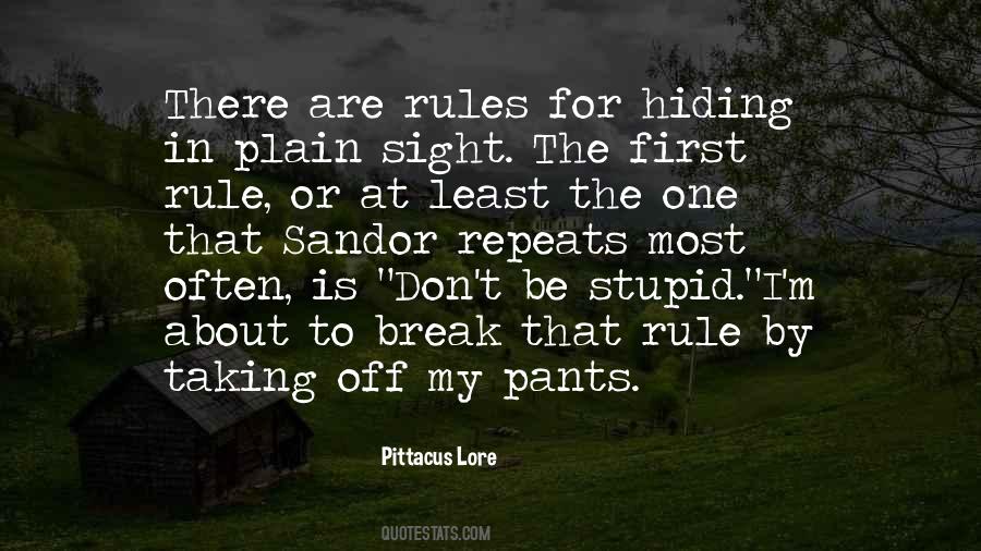 Don't Break The Rules Quotes #1228208