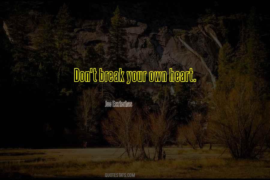 Don't Break Your Heart Quotes #52421