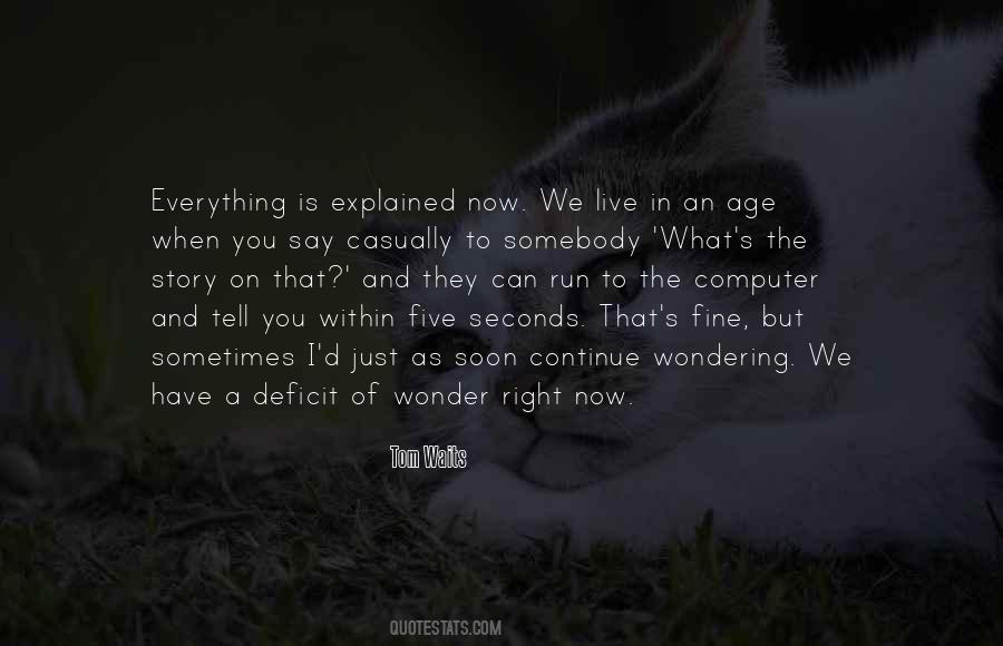 Everything Is Explained Quotes #739893