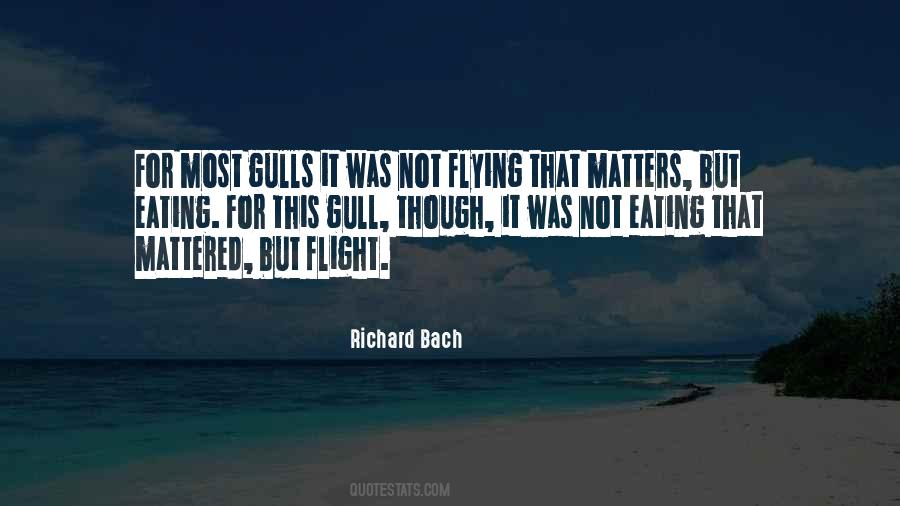 Richard Bach Flying Quotes #1407599