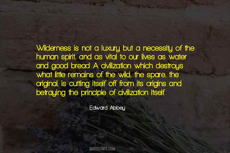 Of Water And The Spirit Quotes #66850