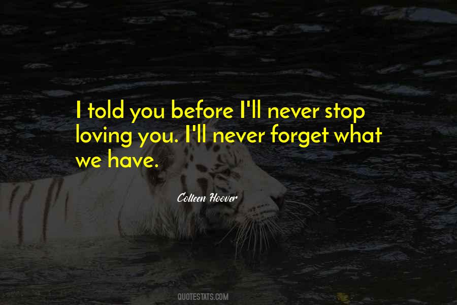 We Forget What We Have Quotes #335659