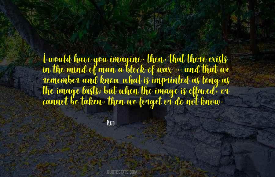 We Forget What We Have Quotes #898797