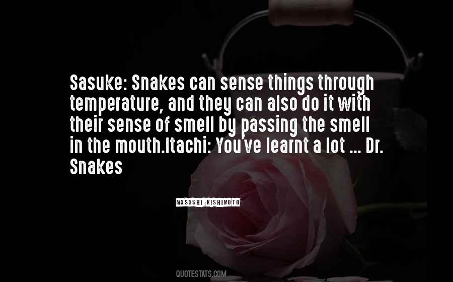 Passing You By Quotes #1182910