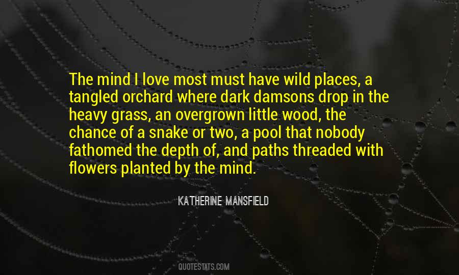 Flowers In The Dark Quotes #1365997