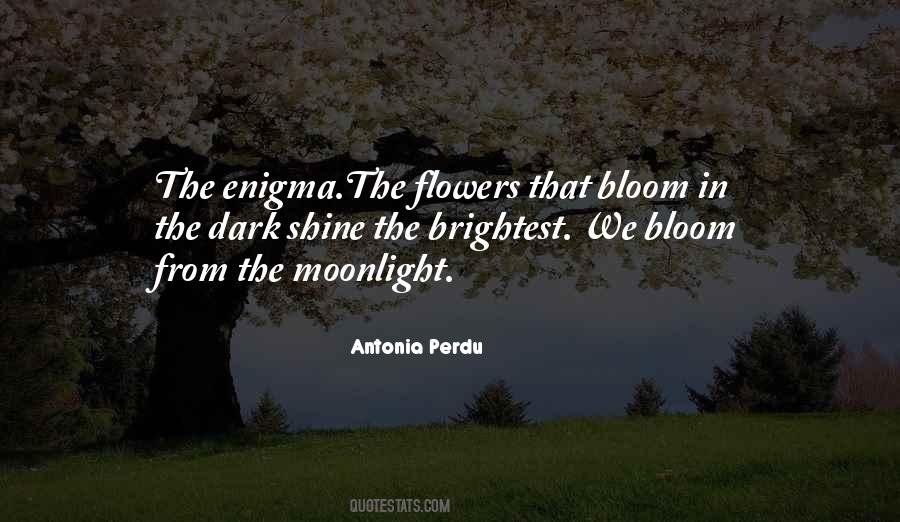 Flowers In The Dark Quotes #672632
