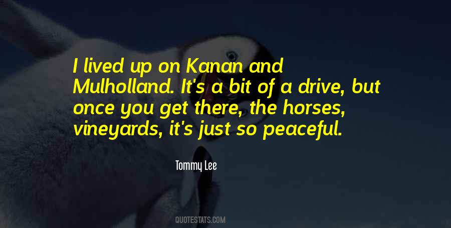 Driving Peace Quotes #1792759