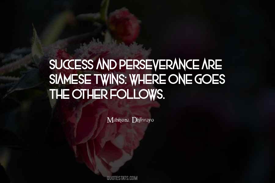Perseverance Success Quotes #1050309