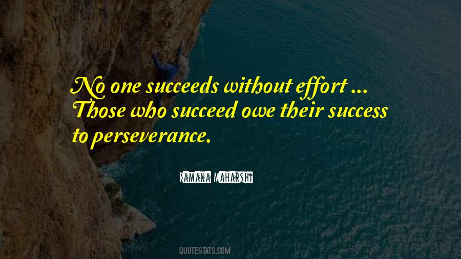 Perseverance Success Quotes #1854254