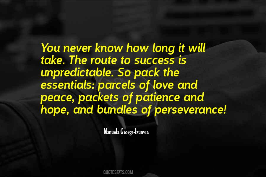 Perseverance Success Quotes #1862166